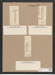 Navicula ventricosa var. {subundulata / kjellmaniana Grun. / Cleve (de-Toni-Nr.: Genus 1, Species 533) Zeichnungen Sammlung Grunow Nr. 1075 (NHMW-BOT-W0367627)